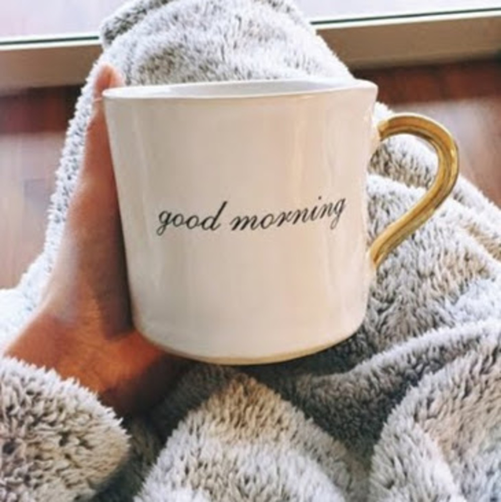 Meet your Posher, Zaya